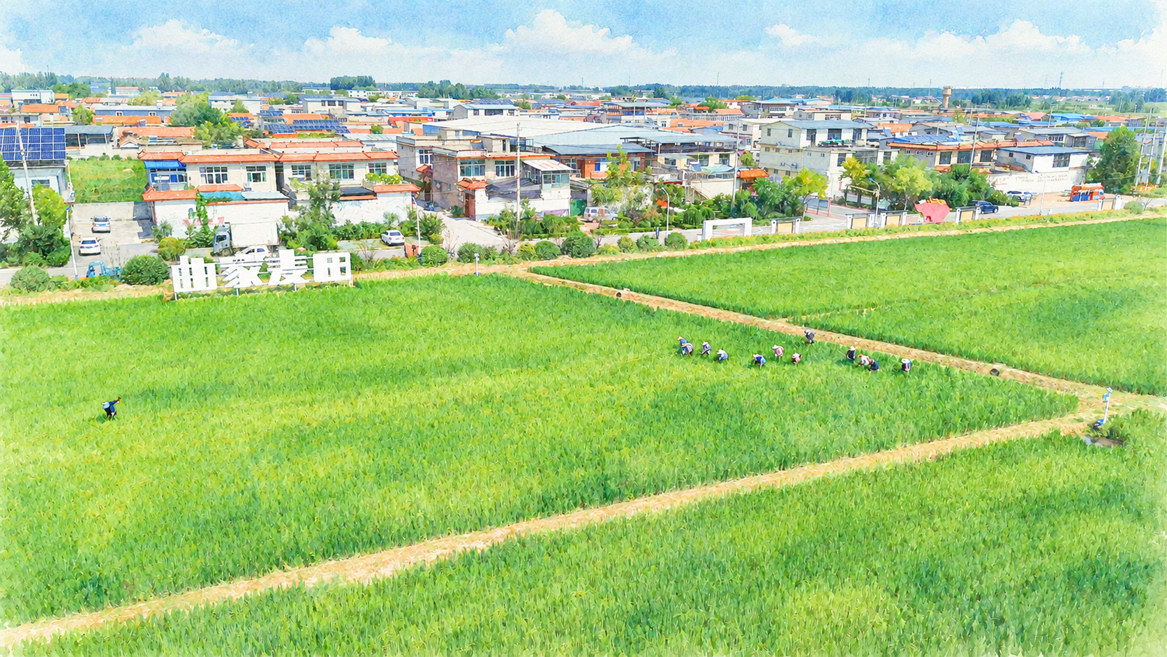 将这张航拍乡村稻田风景图转换为手绘水彩插画风格，保持画面所有细… - 图片创意预览