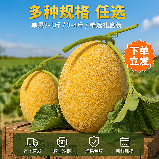 [主图-5] 淖毛湖哈密瓜规格与服务承诺转化图。
[氛围风格] 产地直发真实感 品质保障 放心购买 转化型排版。
[画质] 高清商业摄影 产品清晰 排版整洁 信任感强。
[元素] 画面中央展示两颗大小不同的金黄哈密瓜 都带翠绿瓜藤和叶片 大的一颗在前 小的一颗在后偏左 形成大小对比 展示不同规格 瓜皮金黄网纹细密 瓜形饱满 与输入产品图外观完全一致。背景是虚化的新疆瓜田和蓝天 阳光明媚 产地氛围浓厚。两颗瓜下方有木质 crate 包装箱的一角 露出"新疆哈密瓜"字样的纸箱侧面 增加发货真实感。画面底部有一条半透明的深色悬浮条 两端留空不贴边。保持哈密瓜外观 颜色 瓜纹 形状与输入产品图一致 精细化处理 无变形色差。商品主体占比约60%。画面满屏无边框。
[光影] 自然阳光 右上方主光 暖金色 瓜皮高光自然 网纹清晰 底部有柔和投影 整体明亮通透 品质感强。
[配色] 主色金黄（瓜）翠绿（瓜藤） 辅色天蓝 深绿（底部条） 文案色白色+金黄色。
[视角构图] 平视微俯角度 两颗哈密瓜居中摆放 前后错落有层次 背景瓜田虚化 底部服务条稳定画面 构图均衡。
[文字版式] 顶部居中大标题"多种规格 任选" 金黄色粗体大字 下方一行小字"单果2-3斤 / 3-4斤 / 精选礼盒装" 白色中号字体。底部半透明深绿色悬浮条内 横向均匀排列四个服务承诺图标加文字 从左到右 第一个图标是卡车 "产地直发" 第二个图标是顺丰标 "顺丰冷链" 第三个图标是盾牌 "坏果包赔" 第四个图标是日历 "新鲜现摘" 都是白色图标+白色文字 图标在上文字在下 整齐排列。画面右侧中部一个橙色爆炸贴样式标签 内写"下单立发" 白色粗体字 有动感。
[输出要求] 1:1比例 文字清晰锐利 超高清商业摄影质感。
[负向提示词] 变形 文字错乱 产品图模糊 背景杂乱 水印 电商平台Logo 人物 多余肢体。