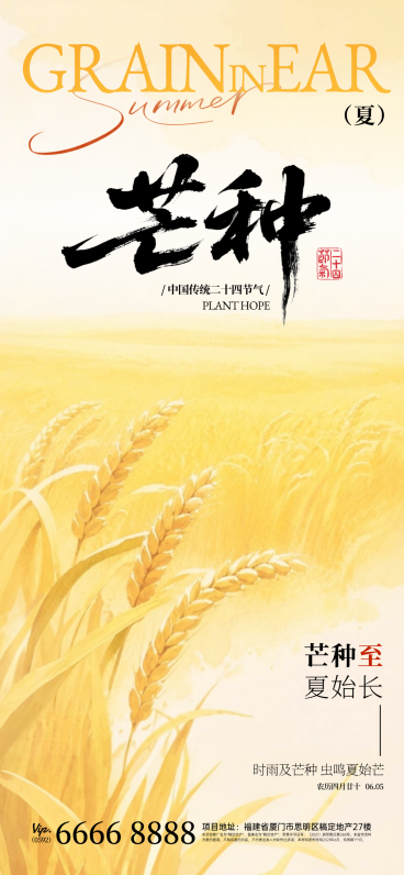 芒种节气渐变氛围祝福通用全屏竖版海报预览效果
