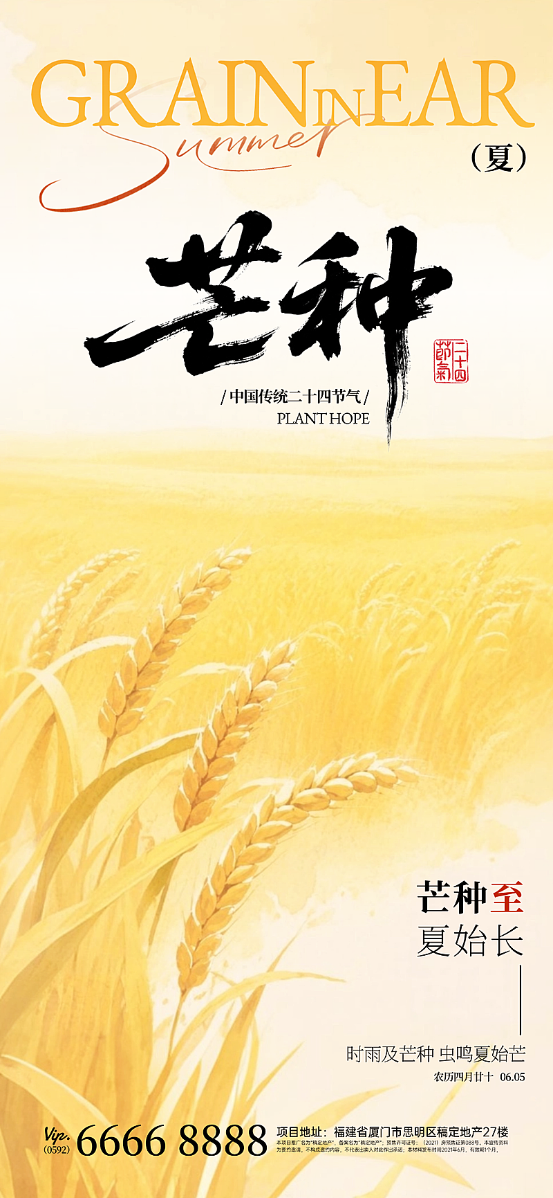 芒种节气渐变氛围祝福全屏竖版海报