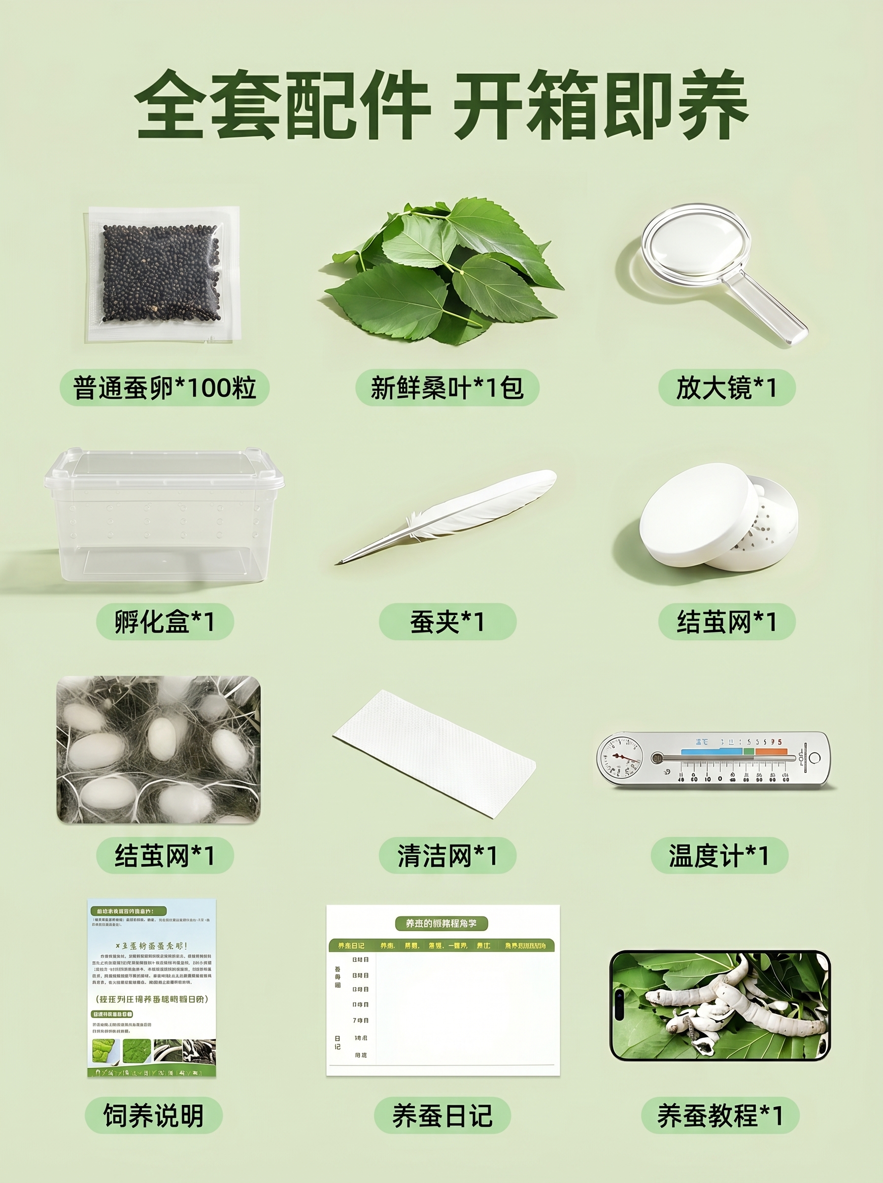 创意预览图