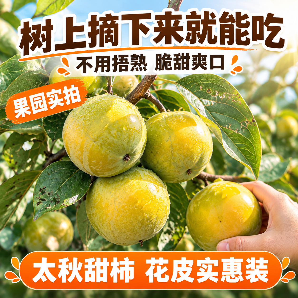 [主图-2] 拼多多爆款第二张主图，核心任务是展示太秋甜脆柿的… - 图片创意预览