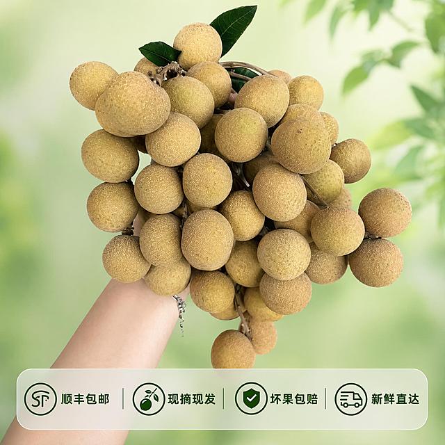 [主图-5] 储良龙眼服务承诺转化图，打消购买顾虑
[氛围风格] 简洁清晰，突出服务保障
[画质] 商业摄影质感，清晰干净，主体突出
[元素] 保持储良龙眼外观、物理结构、材质质感、颜色与输入产品图绝对一致，杜绝任何变形和色差，精细化处理。整串储良龙眼居中展示，画面底部设置半透明悬浮条，两端留空横向排列服务保障
[光影] 柔和均匀光线，主体清晰文字可读
[配色] 浅绿背景衬托主体，文字使用深绿色与背景对比清晰
[视角构图] 主体居中，底部预留服务信息区域，构图均衡
[文字版式] 悬浮条内横向排列四个服务卖点，每个卖点左图标右文字：顺丰包邮 现摘现发 坏果包赔 新鲜直达，每个卖点文字清晰，图标简洁，不遮挡主体龙眼
[输出要求] 1:1比例，文字清晰可辨，超高清商业摄影质感
[负向提示词] 变形，文字错乱，产品图模糊，背景杂乱，水印，电商平台Logo