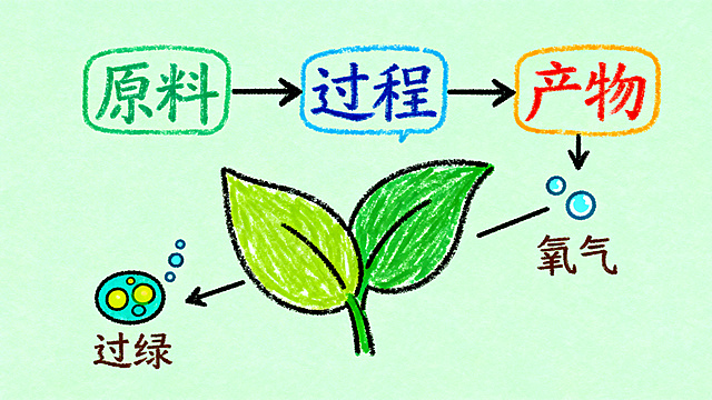 知识点可视化图谱，简笔卡通手绘风格，浅绿色背景，彩色粉笔字书写，用箭头和对话框清晰标注出“原料→过程→产物”的逻辑关系，在关键术语旁边添加对应小图标，叶绿体绘制为叶子形状，氧气绘制为小气泡形状