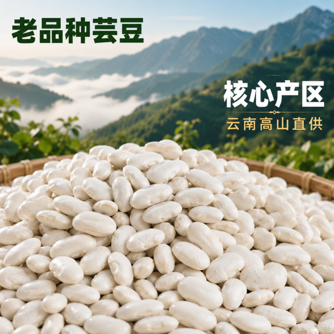 [主图-2] 云南高山白芸豆核心产地展示
[氛围风格] 自然产地溯源风，真实可信
[画质] 商业摄影质感，光线柔和通透，产品清晰真实，画面干净高级
[元素] 前景堆放大颗粒饱满的云南白芸豆，背景是云雾预览效果