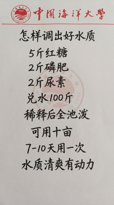 基于原图片的中国海洋大学信纸布局和黑色手写字体风格，替换内容为一字不差：怎样调出好水质 5斤红糖 2斤磷肥 2斤尿素 兑水100斤 稀释后全池泼 可用十亩 7-10天用一次 水质清爽有动力，保持排版布预览效果