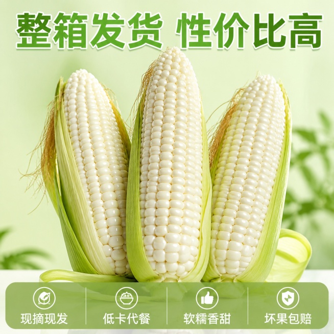 [主图-5] 白糯玉米服务承诺展示，促进下单转化。[氛围风格] 简洁明了，信息清晰，符合拼多多性价比风格。[画质] 商业摄影质感，光线柔和通透，产品清晰真实，画面干净高级。[元素] 保持白糯玉米外观、预览效果