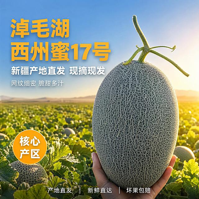 [主图-1] 淖毛湖西州蜜哈密瓜产地直发首图，食欲感诱惑风。
[氛围风格] 新疆产地田园自然风，真实果园场景，清新阳光通透感；
[画质] 商业摄影质感、光线柔和通透、哈密瓜清晰真实、网纹细节锐利、画面干净高级。
[元素] 画面右侧主体为一颗完整的西州蜜17号哈密瓜，网纹细密清晰、瓜型饱满椭圆、带新鲜绿色瓜藤，被一只手从下方轻轻托举展示，手部自然只露出下半部分，不抢主体。背景是新疆淖毛湖哈密瓜田实景，成片的绿色瓜叶延伸至远方，远处可见戈壁地平线与蓝天，阳光从侧后方洒下形成逆光金边。前景散落几片新鲜瓜叶与小颗哈密瓜作点缀，增加层次。**保持哈密瓜外观（即物理结构、网纹纹理、灰绿皮色、椭圆形状）与输入产品图绝对一致，杜绝任何变形和色差，精细化处理网纹细节**。商品主体占比约65%，画面满屏无边框。
[光影] 自然暖阳逆光为主光，从右后方45度照射，在哈密瓜边缘形成金色轮廓光，网纹凸起处有细腻高光；左侧柔和补光提亮暗部，瓜体下方有自然接触阴影；整体光感温暖通透，有新疆日照充足的感觉，光比舒适、高光不溢、暗部有层次。
[配色] 主色瓜皮灰绿+网纹米白；辅色瓜叶绿、天空淡蓝、阳光暖金；点缀色橙黄（暗示果肉）。
[视角构图] 平视微仰视角，哈密瓜位于画面右半区视觉中心，左半区留作文案负空间；前中后景分层（前景瓜叶、中景主体哈密瓜、远景瓜田），景深中等，远景瓜田自然虚化突出主体。
[文字版式] 左上负空间左对齐留安全边距，三行主辅文案不压瓜体。大字主标题「淖毛湖西州蜜17号」，橙黄色最大号粗体无衬线，字形厚重有力量；第二行辅助文案「新疆产地直发 现摘现发」，白色中号粗体；第三行更小字号「网纹细密 脆甜多汁」，白色常规字重。左下角圆形橙黄底白字小标签「核心产区」，字体醒目。底部通栏极轻微半透明渐变蒙层，横向排列三个短句：「产地直发」「新鲜直达」「坏果包赔」，白字小字号，间距均匀。
[输出要求] 1:1比例，文字清晰锐利可辨，超高清商业摄影质感。
[负向提示词] 变形，文字错乱，哈密瓜模糊，背景杂乱，水印，电商平台Logo，多余的手，畸形手，手指扭曲，人物面部。