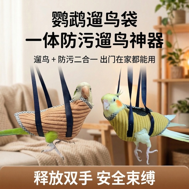 预览效果