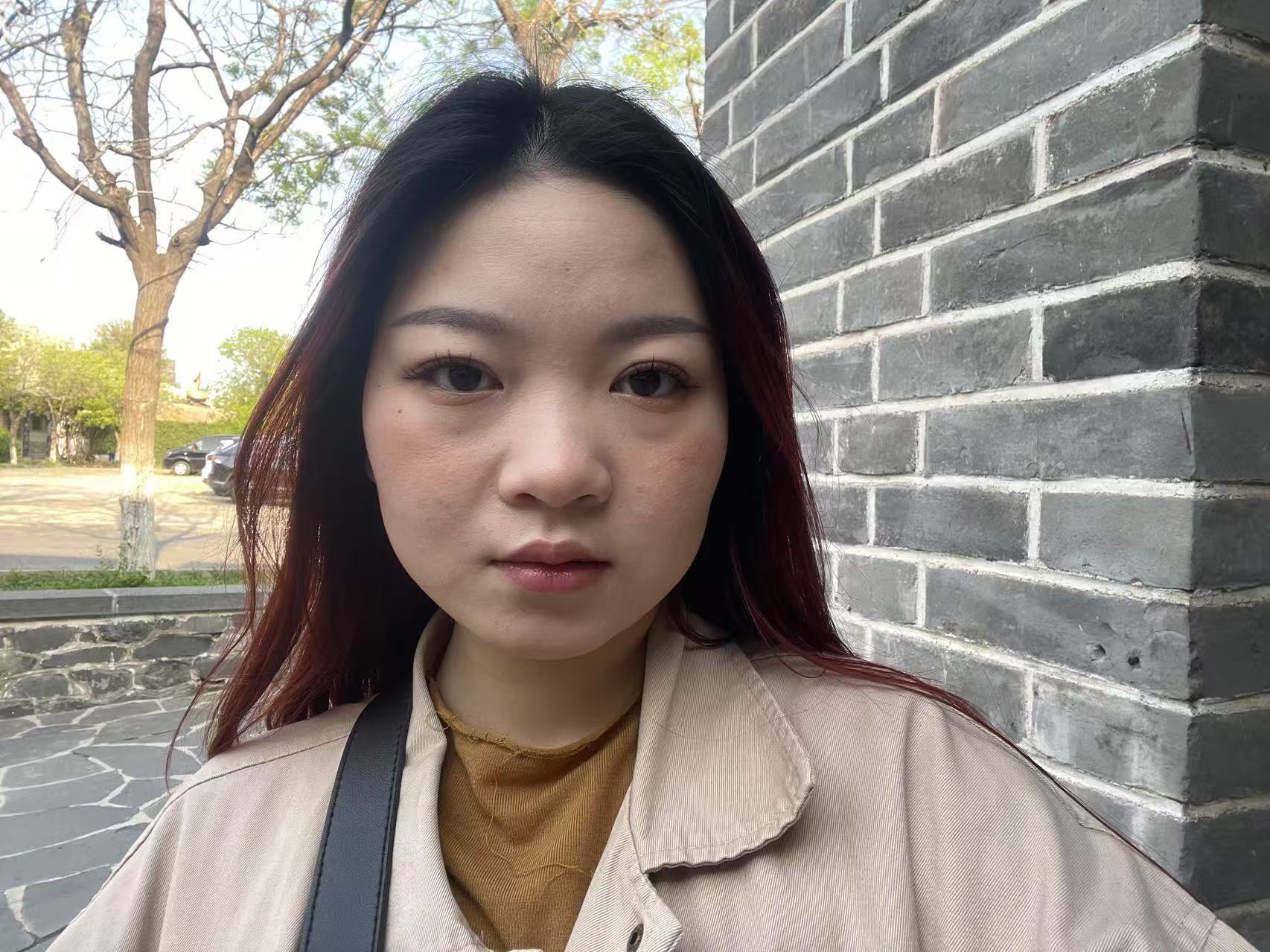 模板预览图