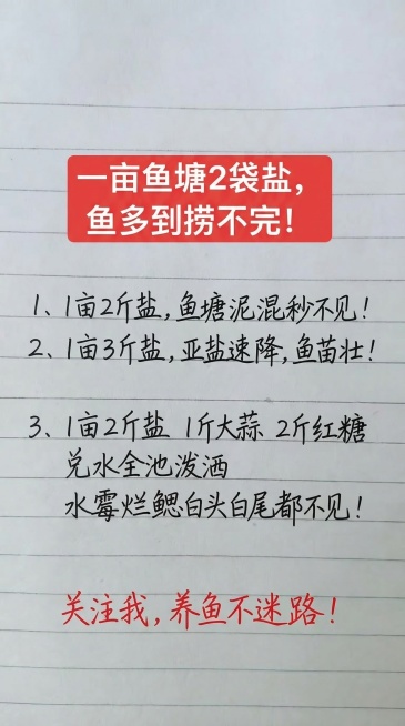 基于原图的布局和风格，把原图文字全部替换成新的内容，保留原图的横格笔记本背景，保留上方红色矩形白底大字标题，下方黑色手写字体和红色手写字体的字体颜色和排版风格，一字不差替换内容：标题：一亩鱼塘2袋盐，预览效果