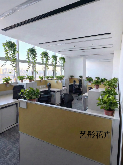 帮我统一加上艺彤花卉的水印预览效果