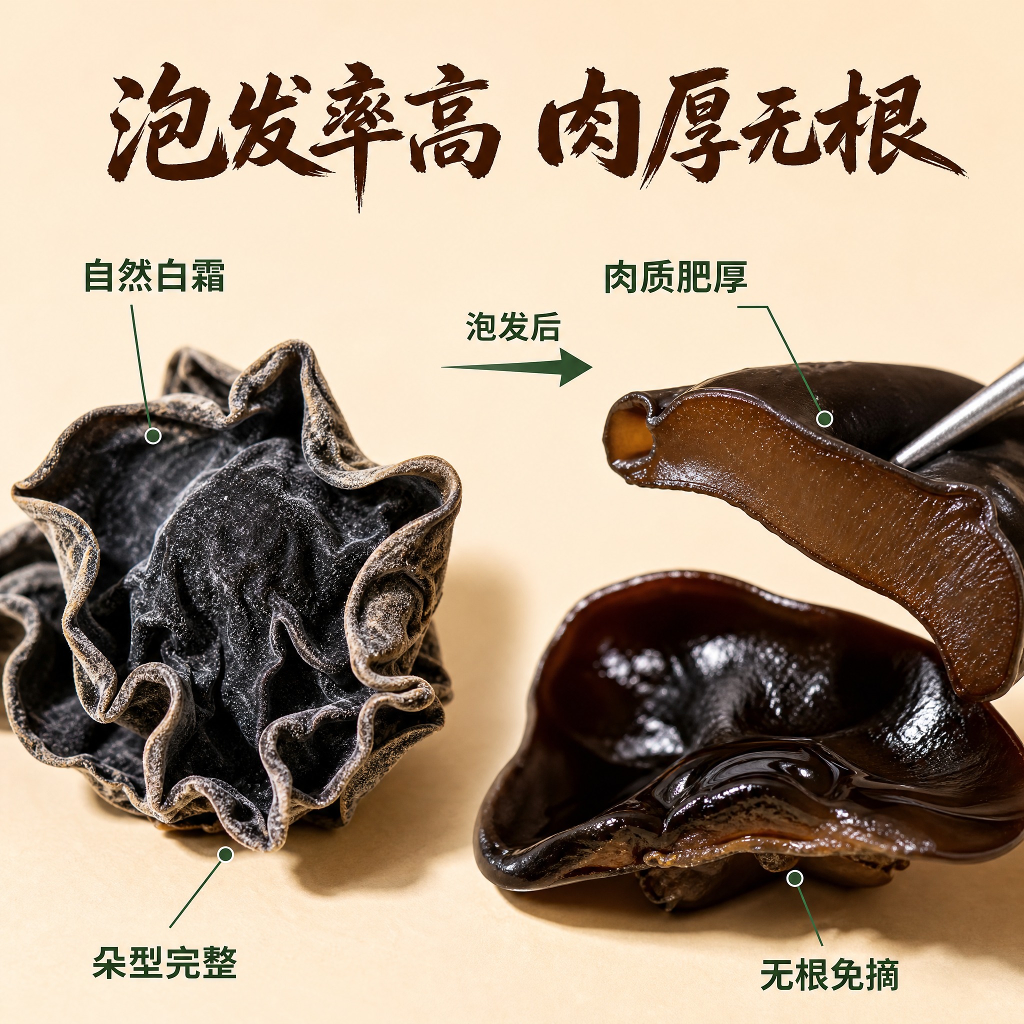 [主图-3 秋木耳细节图] 泡发前后对比 肉厚无根 微距纹理… - 图片创意预览