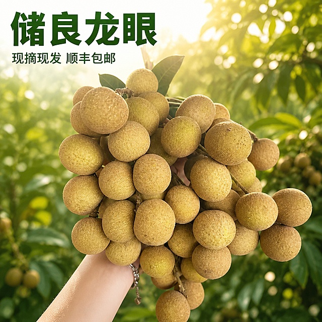 [主图-1] 储良龙眼新鲜现摘首图，果园氛围直观展示
[氛围风格] 自然清新，新鲜果物氛围，拼多多大字直白风格
[画质] 商业摄影质感，光线柔和通透，产品清晰真实，画面干净高级
[元素] 保持储良龙眼外观、物理结构、材质质感、颜色与输入产品图绝对一致，杜绝任何变形和色差，精细化处理。一串饱满带叶的储良龙眼居中展示，背景虚化融入绿色龙眼果园环境，商品主体占比控制在65%左右，画面满屏无边框。
[光影] 自然暖阳逆光，从龙眼后方照射，突出果实通透质感，光线柔和不刺眼，暗部有层次
[配色] 主色调为果实本身的黄褐色与背景的翠绿色，自然清新
[视角构图] 平视角度，景深适中，果实轮廓完整不裁切
[文字版式] 左上负空间左对齐留安全边距，大字文案"储良龙眼"深绿色最大号粗体无衬线，下一行小字辅助文案"现摘现发 顺丰包邮"约一半字号，同色系清晰可读，文字不遮挡主体
[输出要求] 1:1比例，文字清晰可辨，超高清商业摄影质感
[负向提示词] 变形，文字错乱，产品图模糊，背景杂乱，水印，电商平台Logo