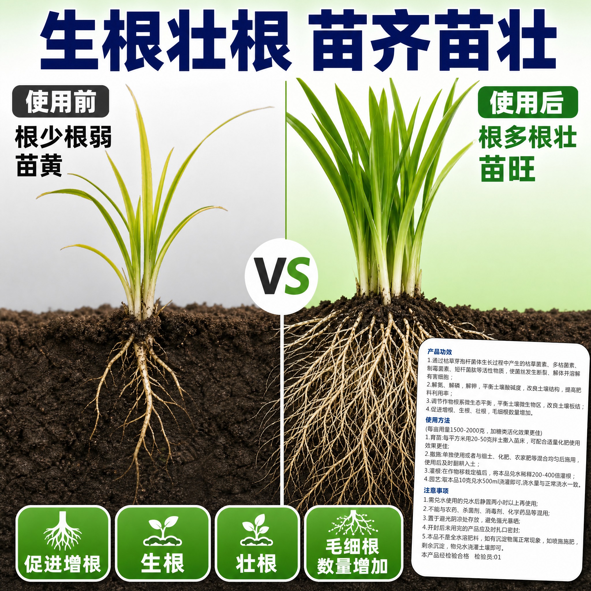[主图-7] 生根壮根 根系发达对比图。 [统一基调] 拼多多… - 图片创意预览