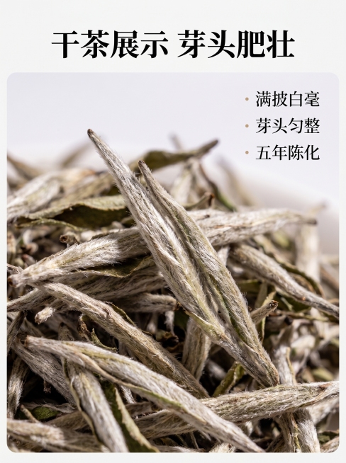 [详情页第三屏] 干茶细节展示
[氛围风格] 微距特写，突出荒野银针天然品质
[画质] 商业摄影质感、光线柔和通透、纹理清晰真实、画面干净高级
[元素] 白毫银针干茶叶微距特写，完整展示单芽头形态和满预览效果