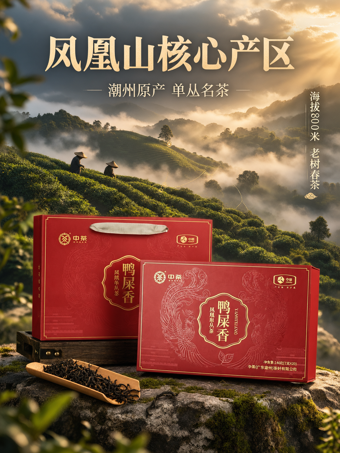 [主图-2 3:4] 核心亮点 产地溯源 潮州凤凰山 [统一基… - 图片创意预览