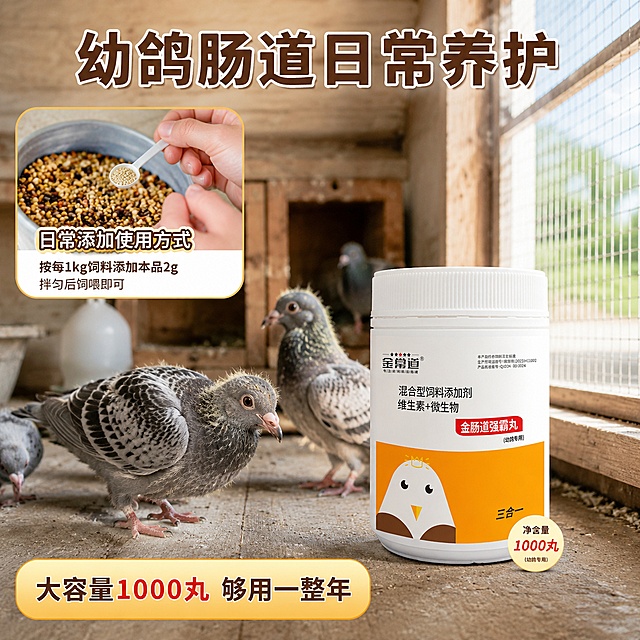 「图片1」，生成电商主图（3张），商品名称是金肠道强霸丸快手平台，主图比例为1:1