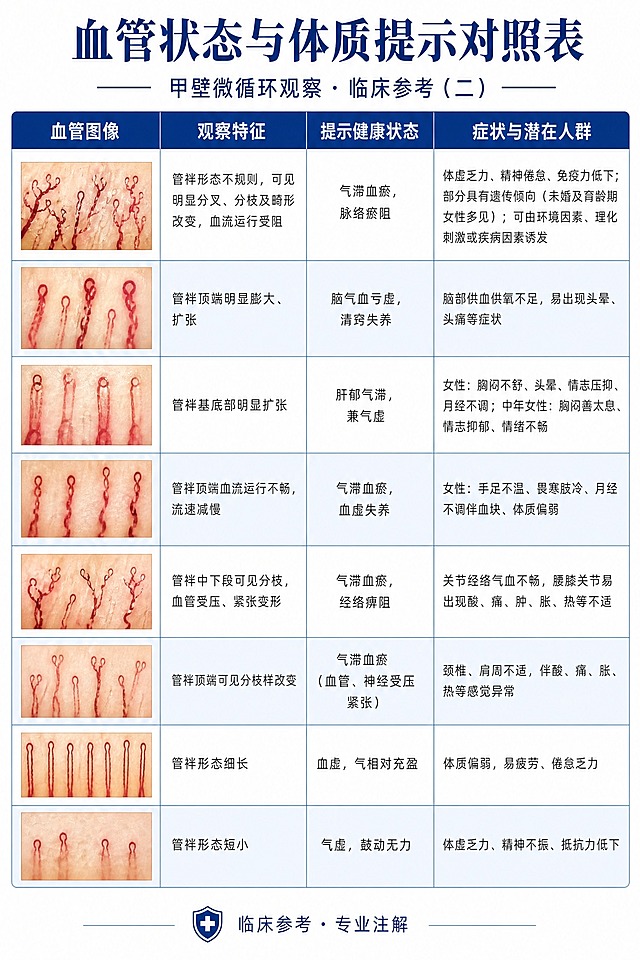 医学科普专业海报，标题为"血管状态与体质提示对照表"，A4竖版构图。顶部居中大标题"血管状态与体质提示对照表"，副标题"甲壁微循环观察 · 临床参考（二）"。画面主体为一个四列表格，表头从左到右依次为："血管图像"、"观察特征"、"提示健康状态"、"症状与潜在人群"。血管图像列放在最前面（第一列）。表格共8行数据，每行第一列为真实甲壁血管显微镜实拍图（颜色矫正为真实血管状态：血管呈暗红色/红褐色，背景为浅黄肤色，真实显微镜下甲壁毛细血管色泽，禁止偏绿偏蓝偏黄，血管图片清晰锐利）。

第1行：血管图像为分叉变形畸形血管图；观察特征"管袢形态不规则，可见明显分叉、分枝及畸形改变，血流运行受阻"；提示健康状态"气滞血瘀，脉络瘀阻"；症状与潜在人群"体虚乏力、精神倦怠、免疫力低下；部分具有遗传倾向（未婚及育龄期女性多见）；可由环境因素、理化刺激或疾病因素诱发"。

第2行：血管图像为血管顶端膨大血管图；观察特征"管袢顶端明显膨大、扩张"；提示健康状态"脑气血亏虚，清窍失养"；症状与潜在人群"脑部供血供氧不足，易出现头晕、头痛等症状"。

第3行：血管图像为血管基部扩张血管图；观察特征"管袢基底部明显扩张"；提示健康状态"肝郁气滞，兼气虚"；症状与潜在人群"女性：胸闷不舒、头晕、情志压抑、月经不调；中年女性：胸闷善太息、情志抑郁、情绪不畅"。

第4行：血管图像为顶端血流不畅血管图；观察特征"管袢顶端血流运行不畅，流速减慢"；提示健康状态"气滞血瘀，血虚失养"；症状与潜在人群"女性：手足不温、畏寒肢冷、月经不调伴血块、体质偏弱"。

第5行：血管图像为中部分枝受压血管图；观察特征"管袢中下段可见分枝，血管受压、紧张变形"；提示健康状态"气滞血瘀，经络痹阻"；症状与潜在人群"关节经络气血不畅，腰膝关节易出现酸、痛、肿、胀、热等不适"。

第6行：血管图像为顶端分枝血管图；观察特征"管袢顶端可见分枝样改变"；提示健康状态"气滞血瘀（血管、神经受压紧张）"；症状与潜在人群"颈椎、肩周不适，伴酸、痛、胀、热等感觉异常"。

第7行：血管图像为细长形血管图；观察特征"管袢形态细长"；提示健康状态"血虚，气相对充盈"；症状与潜在人群"体质偏弱，易疲劳、倦怠乏力"。

第8行：血管图像为短小型血管图；观察特征"管袢形态短小"；提示健康状态"气虚，鼓动无力"；症状与潜在人群"体虚乏力、精神不振、抵抗力低下"。

整体风格：医学专业科普风，白色背景，深蓝色表头（白色文字），浅蓝交替行底色，深灰色正文文字。表格线条清晰工整，血管图像真实还原色泽，图像列宽度适中。底部标注"临床参考 · 专业注解"并配医学盾牌图标。版式精美，信息层次分明，四周留安全边距。

画面中必须完整呈现以上所有润色后的专业文字信息，主标题必须精确为"血管状态与体质提示对照表"，所有数字和编号必须精确渲染，不得错位、遗漏或编造。画面中所有表格单元格必须填充完整合理的内容。