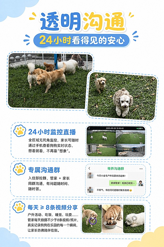 A4竖版宣传海报，延续系列卡通可爱风格：白色背景，左上角和左下角有浅蓝色不规则云朵装饰，右下角有浅黄色不规则云朵装饰，整体简洁干净。

顶部标题区：主标题"透明沟通"，副标题"24小时看得见的安心"，字体圆润可爱，蓝黄配色，与系列风格一致。

画面上半部分：排列2张实景照片（金毛狗狗在草坪上、两只小狗在草地上奔跑），照片带有圆角和浅蓝色虚线边框，大小错落排列，展示狗狗户外活动的真实瞬间。

画面下半部分：三个服务板块竖向排列，每个板块前配一个可爱的狗爪爪图标（肉垫浅黄色，轮廓浅蓝色），用浅蓝色圆角虚线框区分：

1. "24小时监控直播"
配一张沟通群截图的缩略图（圆角浅蓝色虚线边框），文字内容："全区域无死角监控，家长可随时通过手机查看狗狗实时状态，想看就看，不再靠"想象"。"

2. "专属沟通群"
文字内容："入住即拉群，管家 + 家长同群沟通，有问题随时问、随时答。"

3. "每天 ≥ 8条视频分享"
文字内容："户外活动、吃饭、睡觉、玩耍……管家每天拍摄不少于8条视频/照片，真实记录狗狗在乐园的每一个瞬间，让家长仿佛陪伴在侧。"

三个板块整齐排列，图文结合，信息清晰。

整体配色：白色背景 + 浅蓝色 + 浅黄色为主色调，清新温暖。版式精美，四周留足安全边距，文字清晰可读，信息层级分明。3张图片合理分布，画面简洁干净不杂乱。与系列前四张风格完全统一。

画面中所有数字必须精确渲染："24小时"、"8条"，不得出现错位、遗漏或编造的数字。
画面中所有文字必须准确无误，不得有错别字。