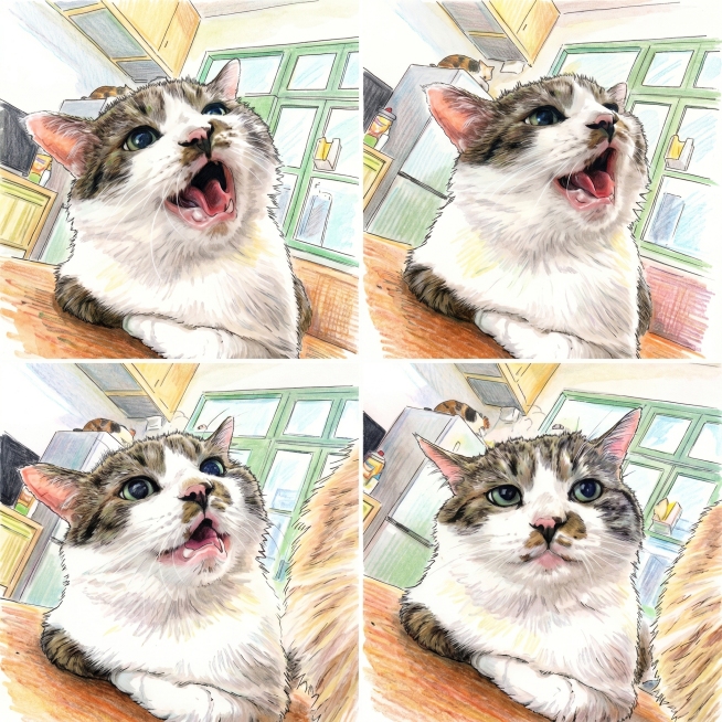将提供的四张猫咪照片排列成25cm*25cm尺寸的四宫格图片，整体调整为鲜明的色调，整体背景使用手绘风格预览效果
