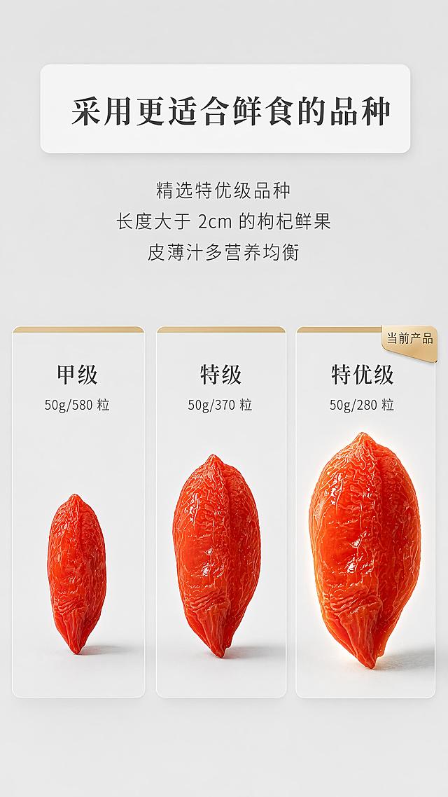 商业电商详情对比海报，浅灰色极简纯色背景，上下分层对称排版，顶部白色圆角标题框，内有深色宋体文字 "采用更适合鲜食的品种"，标题下方三段灰色说明文字："精选特优级品种"，"长度大于 2cm 的枸杞鲜果"，"皮薄汁多营养均衡"；下方横向并列三块浅灰色圆角展示卡片，卡片顶部浅金色封边，从左至右依次为甲级、特级、特优级，卡片内标注对应文字 "甲级 50g/580 粒"、"特级 50g/370 粒"、"特优级 50g/280 粒"，最右侧卡片右上角带金色立体小标签写 "当前产品"；每张卡片居中摆放单颗锁鲜枸杞，三颗枸杞尺寸从左到右依次增大，枸杞果肉红润通透，表皮天然纹理清晰水润，右侧特优级枸杞添加柔和逆光高光，柔和均匀柔光，轻微浅淡投影，8K 超高清微距食品静物摄影，RAW 原图，干净通透，轻奢养生食品风格，低饱和浅灰莫兰迪色调，构图规整居中，无多余杂物，文字排版工整清晰，无水印，景深干净，质感高级，商品枸杞100%还原上传商品图的外形、纹理、颜色，以上传图为唯一商品主体来源，版式精美
