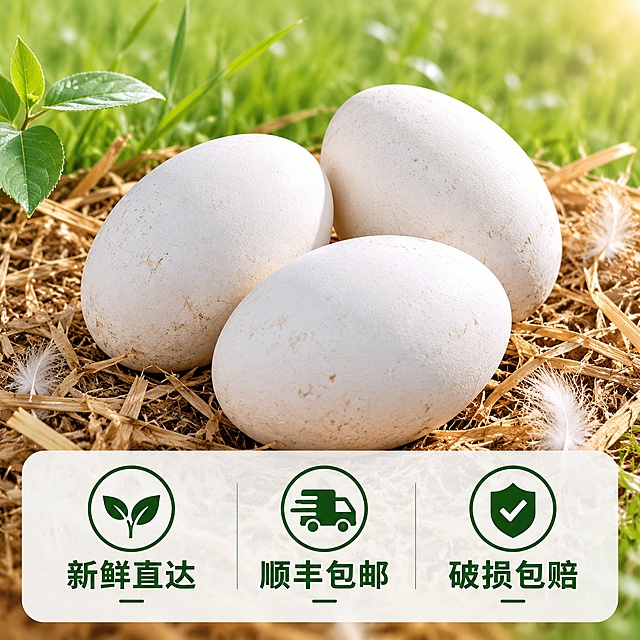 [主图-5] 服务承诺转化图，展示核心售后保障
[氛围风格] 简洁信任风，突出服务保障打消下单顾虑
[画质] 清晰干净，商业宣传质感
[元素] 画面主体左上角展示三个完整带壳新鲜鹅蛋，背景保留浅淡自然草地纹理，干净不抢主体，保持鹅蛋真实外观颜色不变
[光影] 柔和自然漫射光，整体均匀明亮
[配色] 主色调为浅绿草地底色+白色鹅蛋，浅淡清新，文字对比清晰
[视角构图] 中心构图，鹅蛋摆放自然，底部预留服务文案空间
[文字版式] 画面底部浅灰半透明悬浮条，两端留空，横向排列三个服务点：左侧写"新鲜直达"，中间写"顺丰包邮"，右侧写"破损包赔"，每个服务点图标+文字，深绿色文字，清晰可读，大小均匀
[比例分辨率] 1:1 比例，4k 分辨率，文字清晰锐利，画面超高清
[负向提示词] 变形，文字错乱，模糊，杂乱，水印，电商平台Logo，夸张违禁词