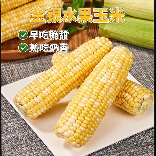 金银水果玉米，卖点生吃脆甜，熟吃奶香，几根玉米整齐摆放展示整体外观，适配抖音电商主图，清新自然风格预览效果