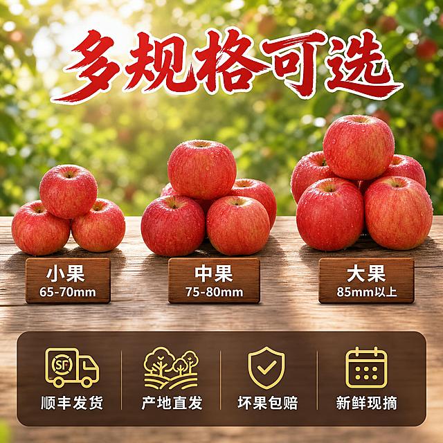 [主图-5] SKU规格与服务承诺，展示多规格选择和售后保障，促进下单转化。
[统一基调] 淘宝/天猫食品生鲜风格，自然暖阳逆光，整体暖红绿色调，主标题用粗厚书法体大红色带轻微白边，辅助文案用清爽黑体深棕色，强调字用印章式红底白字，画面干净有食欲感，无多余装饰。
[画面] 画面上半部分展示三档规格苹果，从左到右依次排列：左边是小果规格约3个苹果，中间是中果规格约4个苹果，右边是大果规格约5个苹果，每堆苹果下方都有一个木质小标牌写对应的规格名称。苹果外观都与参考图一致，红中带黄饱满有光泽。背景是虚化的果园绿叶和阳光。画面底部有一条半透明深棕色悬浮条（两端留空不顶边），横向排列四个服务图标+文字：卡车图标"顺丰发货"、果园图标"产地直发"、盾牌图标"坏果包赔"、日历图标"新鲜现摘"。
[光影质感] 自然光从上方照射，每堆苹果都有自然高光和底部接触阴影，苹果表皮有细微水珠显新鲜，商业摄影质感，三堆苹果光影统一。
[配色] 背景浅绿虚化，苹果红，标牌原木色，底部悬浮条深棕半透明，图标金黄色，文字白色。
[文字版式] 顶部主标题书法体"多规格可选"居中。三堆苹果下方分别标注"小果 65-70mm""中果 75-80mm""大果 85mm以上"，用白色黑体字加浅深色底。底部悬浮条四个服务项等距排列，图标在上文字在下，清晰醒目。
[输出要求] 1:1正方形，苹果外观与参考图一致，规格清晰，服务承诺明确，文字可读，禁止变形、错字、模糊、水印、平台Logo、极限词。