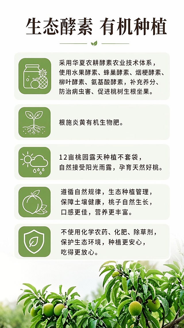 在我上传的桃园枝头挂果照片里选一张替换掉