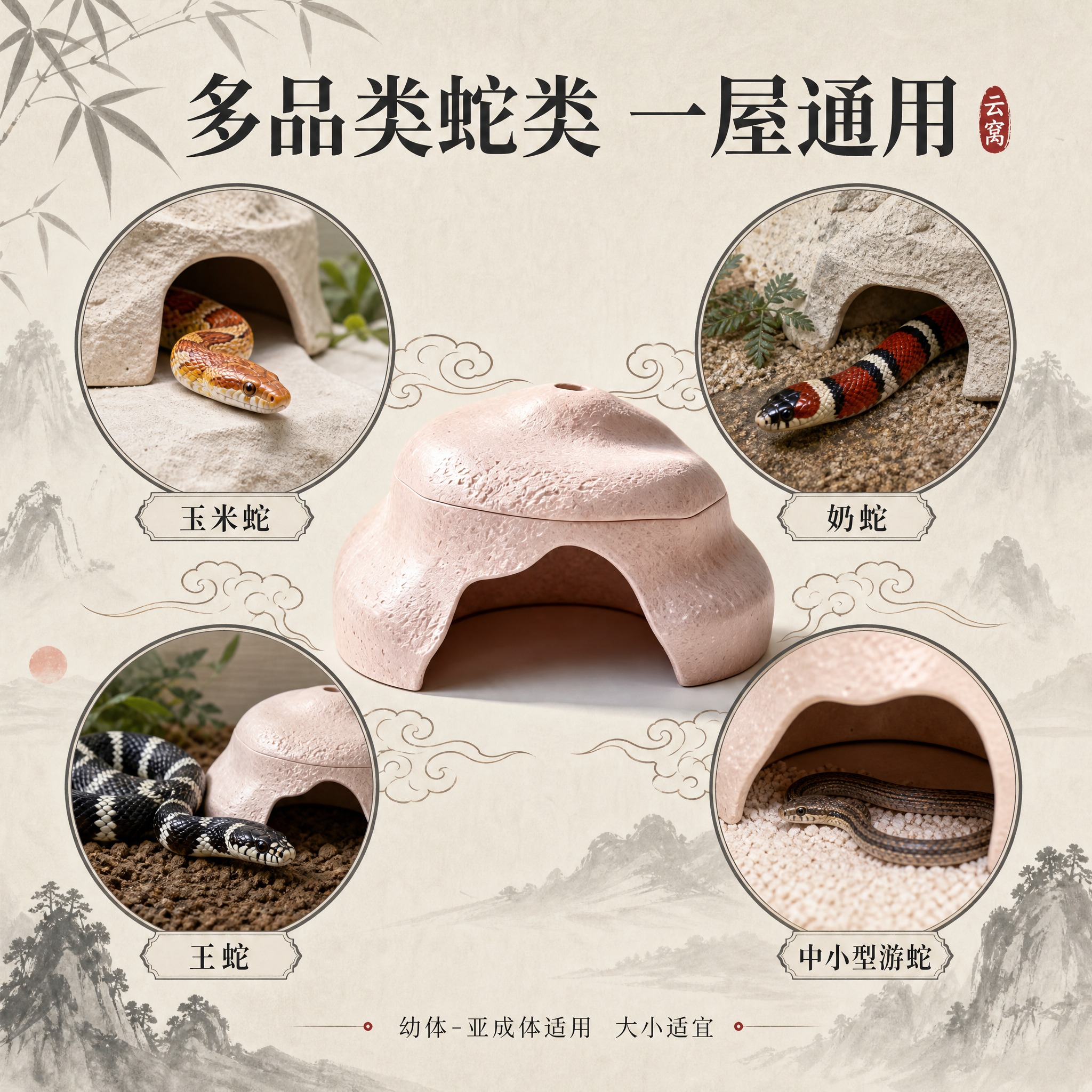 [主图-5] 多蛇类适配图，核心任务是展示产品适配多种中小型游… - 图片创意预览