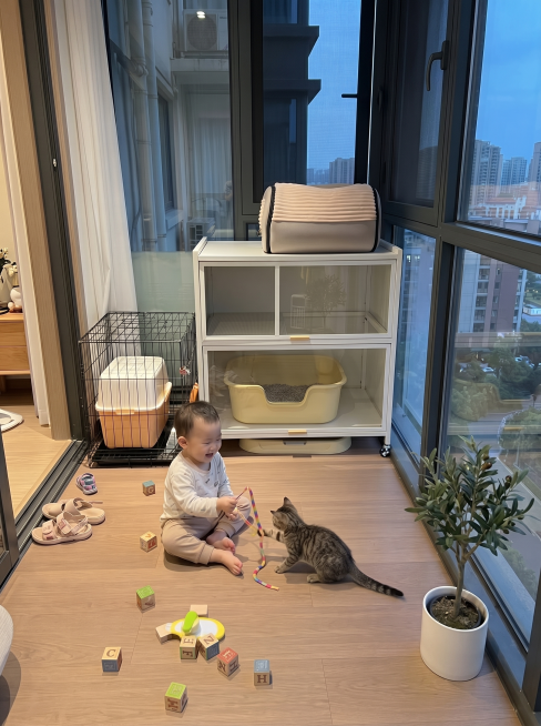 修改图片，保持小猫咪和小孩子玩耍互动的感觉，清理地上散落的猫砂，让房间看起来更自然干净，保留原本的人物和猫咪互动氛围预览效果