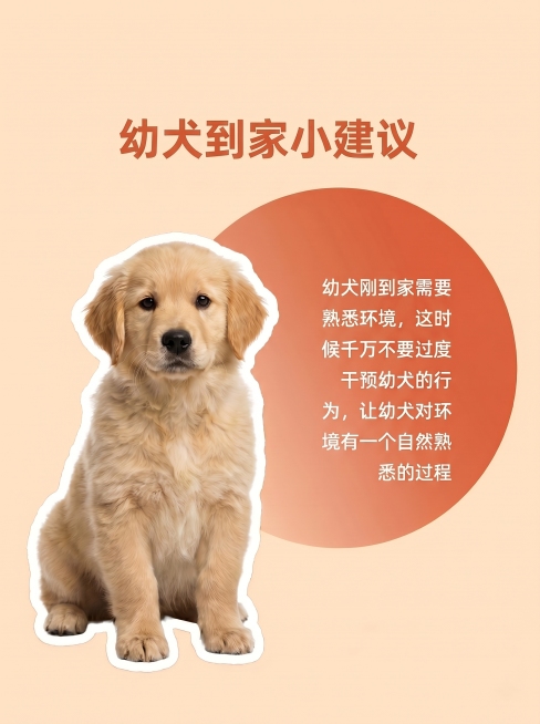 重新生成"幼犬到家小建议"海报，保持暖米色背景和橘红色配色风格，标题为"幼犬到家小建议"，修改排版布局，不要和参考图一模一样，将可爱幼犬图片放在左侧，右侧放置文字内容："幼犬刚到家需要熟悉环境，这时候预览效果