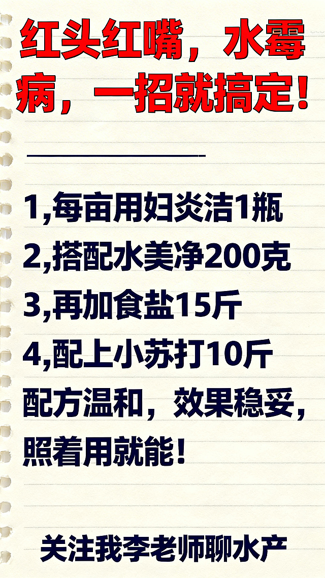 生成一张水产知识科普图片，背景是米白色横格笔记本纸。顶部标题是红色粗体大字："红头红嘴，水霉病，一招就搞定!"，正文为深蓝色字体，分点清晰排版：
1,每亩 用妇炎洁1瓶
2,搭配水美净200克
3,再加食盐15斤
4,配上小苏打10斤
配方温和，效果稳妥，照着用就行!
图片底部放深蓝色文字：关注我李老师聊水产
整体排版和字体颜色风格和参考示例保持一致，布局整齐，所有文字内容一字不差。