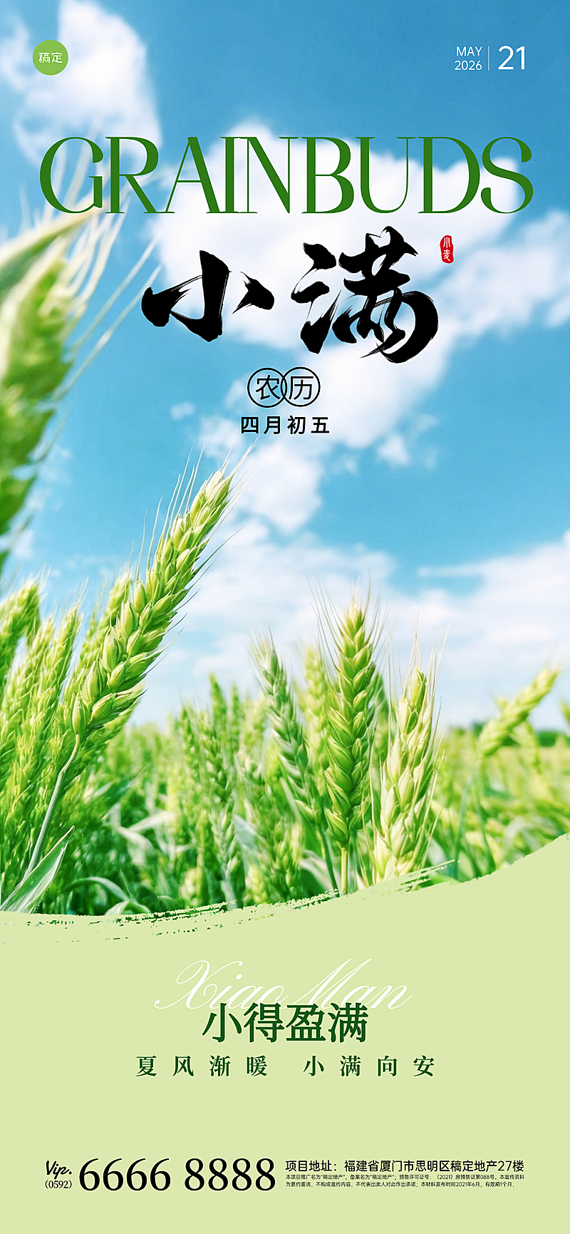 小满写实麦子通用节日问候竖版海报