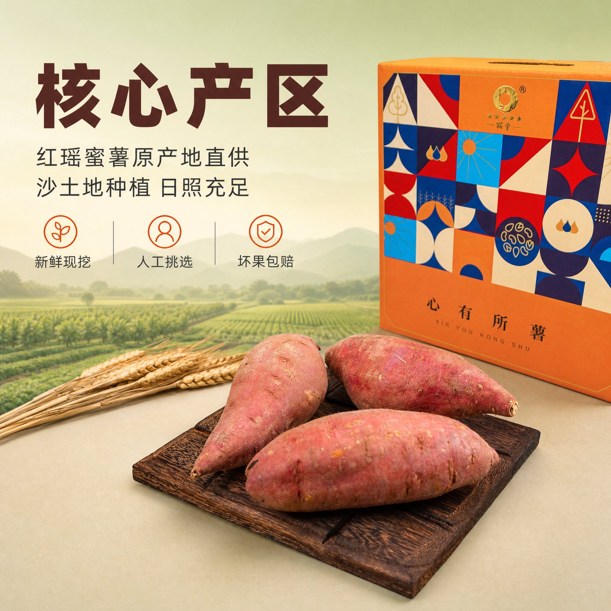 [主图-2] 产地溯源与品质信任，展示红瑶蜜薯核心产区优势，简… - 图片创意预览