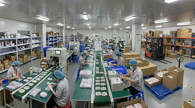 在一个工厂车间内，工人们正常生产包装这个产品，全景图