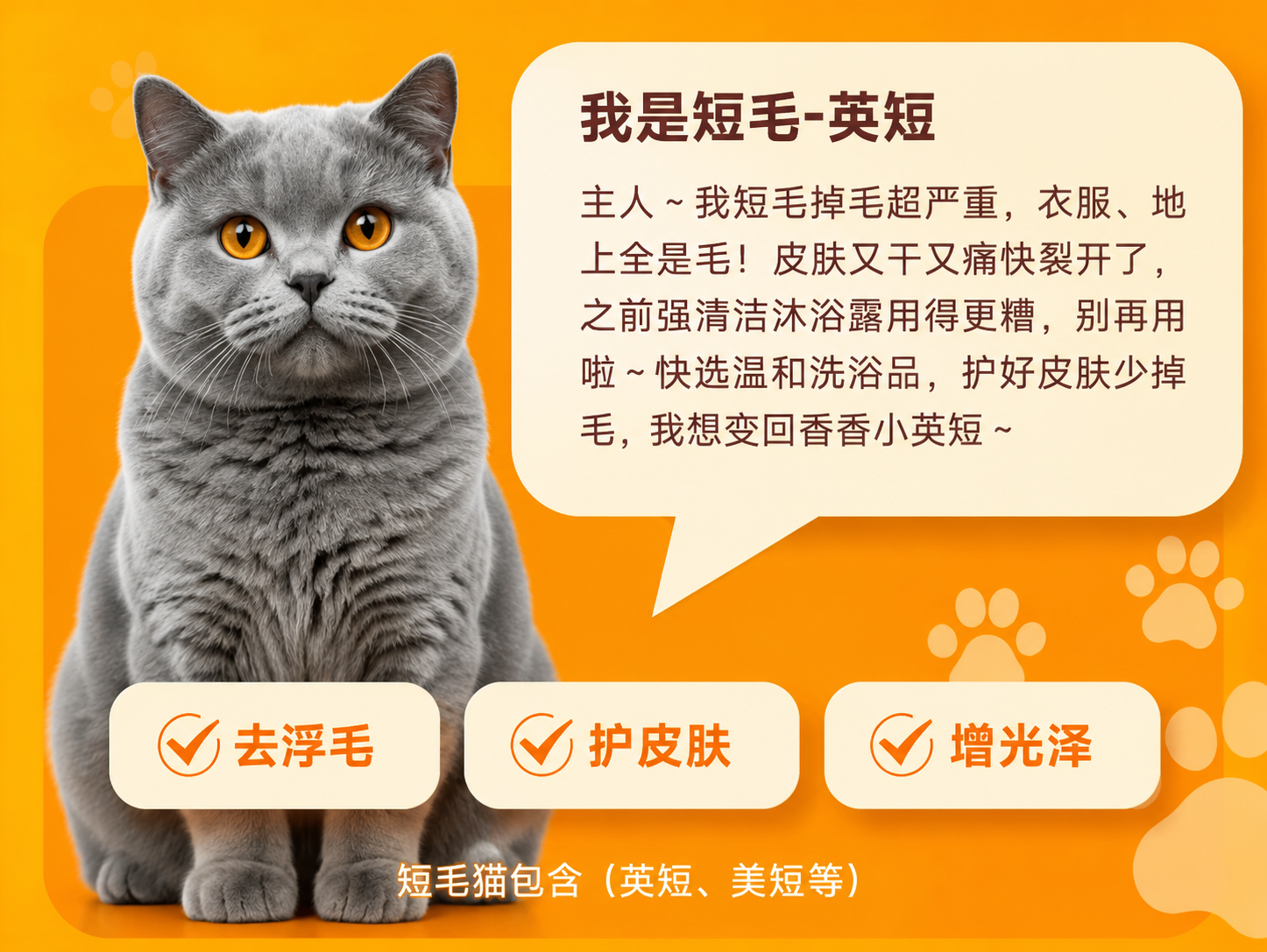 将紫色背景的英短猫海报（第一张参考图的内容结构：英短猫+对话框… - 图片创意预览