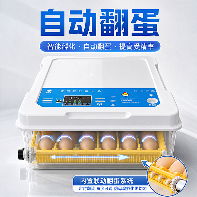 拼多多孵化机商品主图，展示自动翻蛋结构设计，突出产品功能优势，简洁背景，添加“自动翻蛋”卖点文字，1:1正方形构图