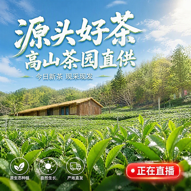 [单张主图] 生态茶园抖音直播封面主图，高级氛围感路线，突出原生态高山茶园产地优势与直播吸引力。
[画面主体] 前景是层层叠叠的翠绿茶园，茶叶鲜嫩饱满、光泽透亮，中景是古朴的木质茅草屋，背景是连绵的山林与晴朗天空，保持茶园、木屋、山林的整体环境与输入产品图一致，杜绝变形和色差，精细化处理茶叶纹理与木屋质感。茶园主体与自然环境占画面约70%。
[构图版式] 大字场景海报型版式。上半区用超大中文主标题压住视觉，标题跨行排版，局部叠到天空背景但不压茶园主体；产品场景置于中下方，右下放置直播轻信息标签，底部放3个轻图标卖点。
[场景元素] 前景是鲜嫩翠绿的茶树叶特写，叶片上有晶莹露珠，中景是整齐排列的茶园梯田与木质茅草屋，屋顶有自然的茅草质感，屋旁有几棵小树，远景是层叠的山林与淡蓝色天空飘着薄云，天空有柔和的阳光洒落。画面整体清新自然，充满田园气息。
[文案版式] 左上至中上区域放置主标题，分两行：第一行大字"源头好茶"，第二行稍小"高山茶园直供"，字体为粗笔刷书法风格，白色字带轻微绿色描边，清晰醒目。主标题下方有一行小字副文案"今日新茶 现采现发"。底部横向排列3个圆形轻图标卖点，从左到右分别是：茶叶图标配"原生态种植"、太阳图标配"自然生长"、卡车图标配"产地直发"。右下角有一个红色圆角标签"正在直播"，带呼吸感光效。所有文字放在天空与远景的负空间，不遮挡茶园与木屋主体。
[光影质感] 上午自然暖阳逆光，光线从右上方斜射，茶园叶片有通透的光泽与露珠高光，木屋有柔和的侧光与投影，天空明亮有层次感，整体光影柔和通透，充满清新的田园晨露感。景深中等，前景茶叶略虚化突出中景茶园与木屋主体。
[配色字体] 主色为茶园翠绿与天空淡蓝，辅助色为木屋暖棕与米白，强调色为直播标签的红色。主标题用粗笔刷书法字体，副文案与卖点用清爽无衬线字体，字重对比明显，层级清晰。
[比例分辨率] 1:1比例，2K分辨率，文字清晰锐利，超高清商业摄影质感。
[负向提示词] 变形，文字错乱，茶园模糊，背景杂乱，水印，电商平台Logo，人物畸形，多余手指，画面昏暗。
