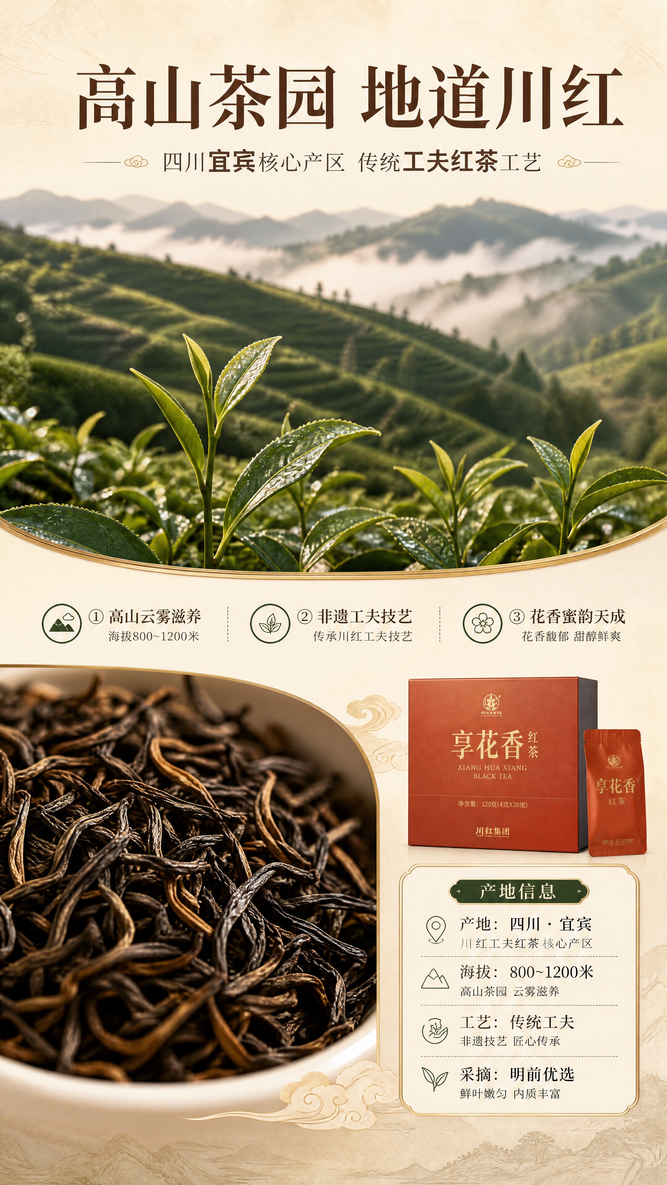 [商品] 本页为成分产地专张，以四川高山茶园场景和红茶原料为主… - 图片创意预览