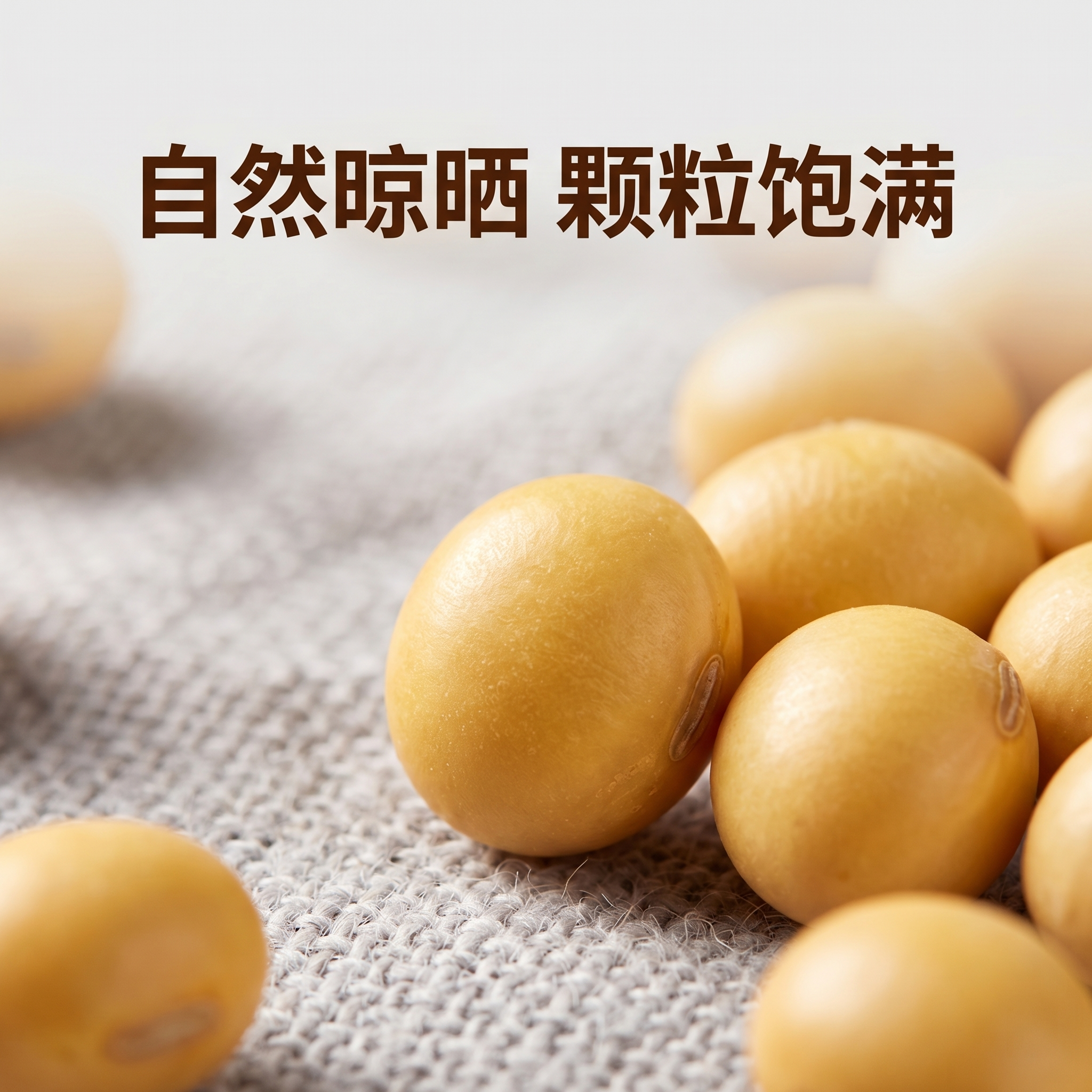 [主图 3] 黄豆细节纹理特写主图，放大展示颗粒品质。[氛围风… - 图片创意预览