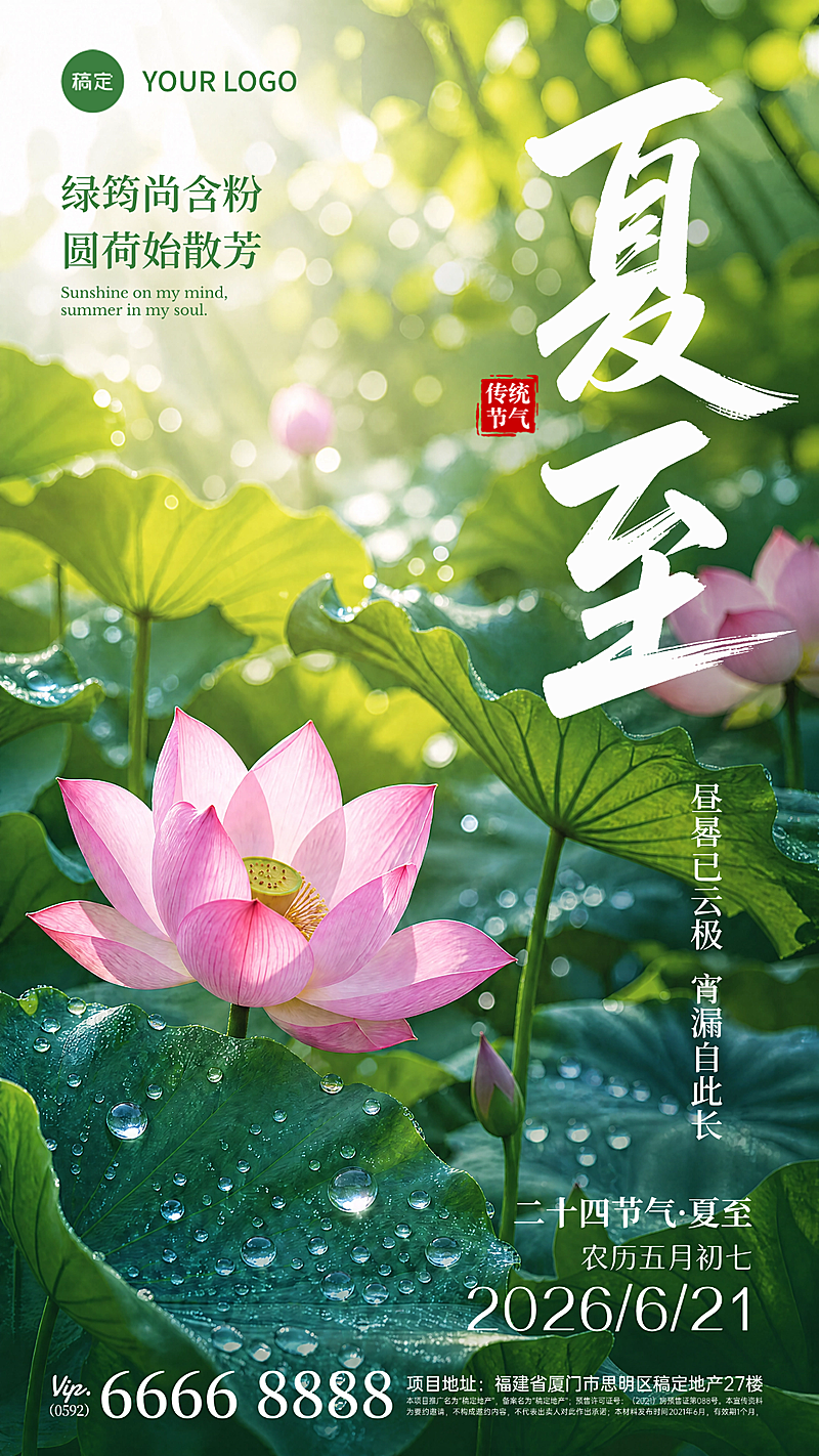夏至节气清新荷塘荷花自然写实风竖版海报手机海报