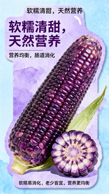 紫色葡萄玉米促销异形卡片设计，主色调为紫色搭配浅蓝色，融合手绘质感与软糯元素。画面核心展示紫色葡萄玉米的完整形态和切块细节，细节清晰。卡片上包含创意文字"软糯清甜，天然营养"，搭配文字"营养均衡，肠道预览效果