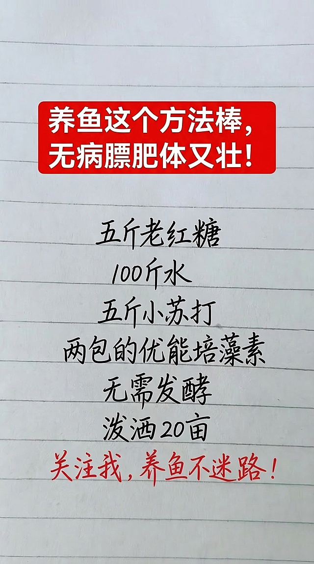 基于原图背景风格（带横线的笔记本纸张），替换全部文字内容，排版和字体颜色和原图保持一致：顶部红色白底框白色粗体大字写"养鱼这个方法棒，无病膘肥体又壮！"，中间黑色手写字体依次为五斤老红糖，100斤水，五斤小苏打，两包的优能培藻素，无需发酵，泼洒20亩。底部红色手写字体写"关注我，养鱼不迷路！"，一字不差替换内容，排版布局合理，保持整体风格和原图一致