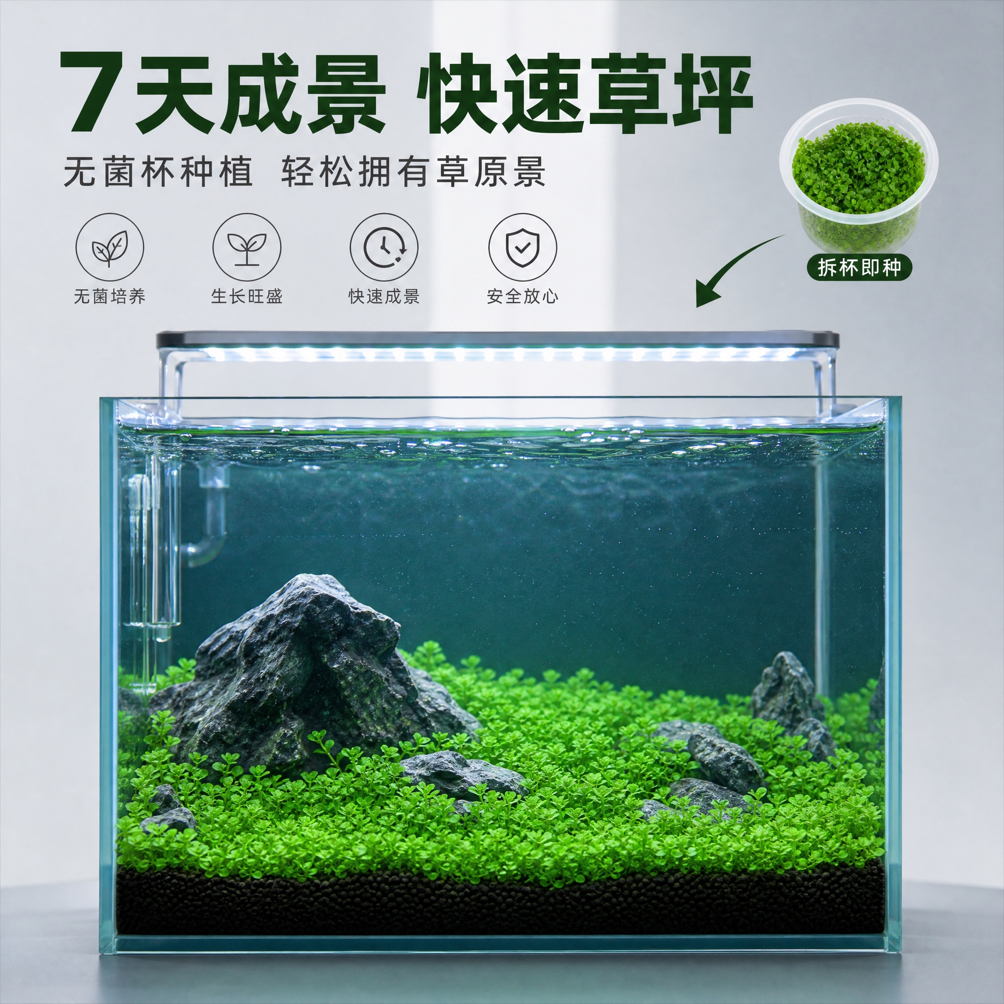 [主图-4] 使用场景图，展示无菌杯水草种草缸造景后的美丽效果… - 图片创意预览