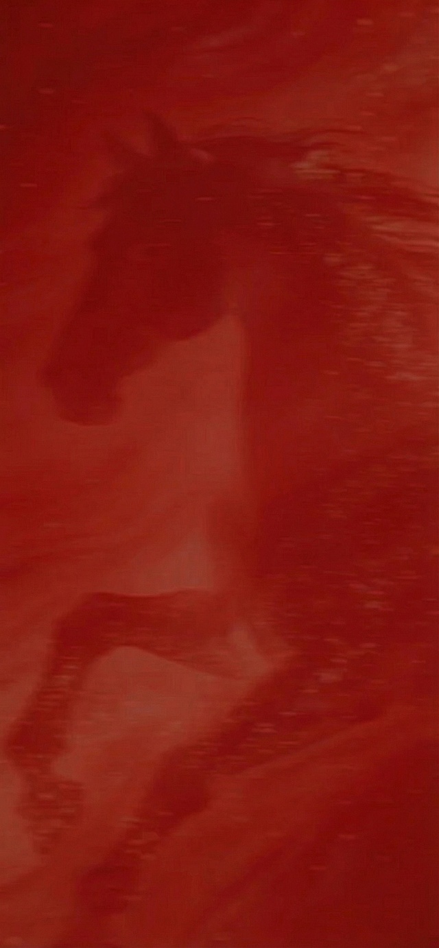 「图片1」消除所有文字