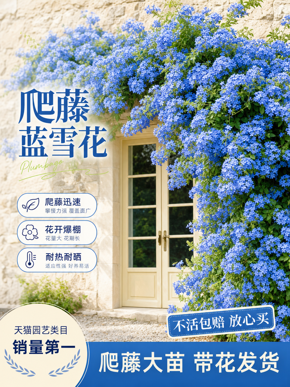 基于参考图生成一张爬藤蓝雪花电商主图，保留石墙木门与蓝雪花爬藤… - 图片创意预览