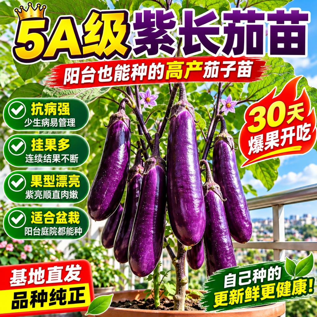 基于参考图生成淘宝天猫电商主图，1:1正方形构图，商品为5A级… - 图片创意预览