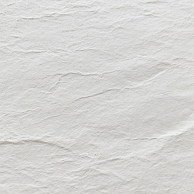 纯白色背景的图片，表面呈现出非常明显且细腻的纸张肌理质感，纹理清晰可见，具有自然的粗糙感和不规则的纹路细节，整体风格简约、干净、素雅，充满了质朴的自然气息